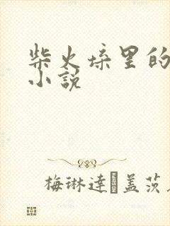 柴火垛里的疯狂小说