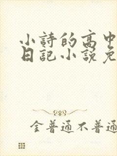 小诗的高中成长日记小说免费阅读