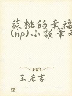 苏桃的幸福生活(np)小说笔趣阁