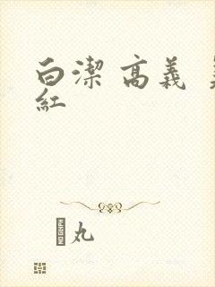 《白洁 高义 美红》小说封面