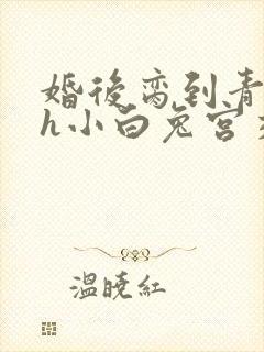 婚后脔到青梅哭h小白兔宫交h