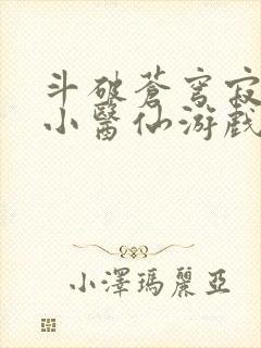 斗破苍穹寂寞的小医仙游戏世界