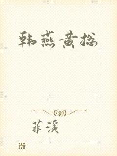 《韩燕黄总》小说封面