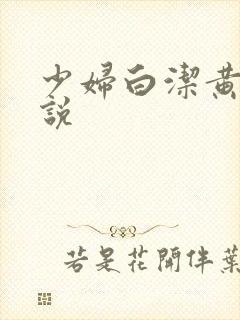 少妇白洁黄色小说