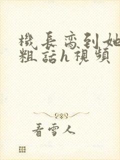 机长脔到她哭h粗话h视频