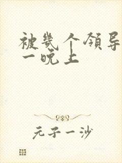 被几个领导玩弄一晚上