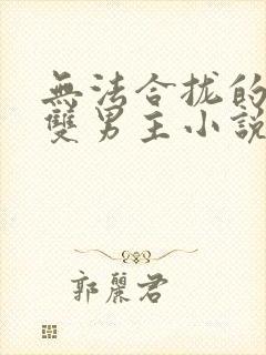 无法合拢的总裁双男主小说