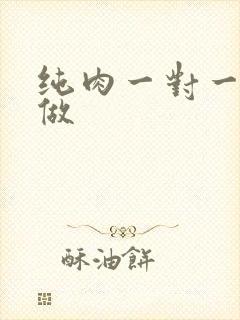 纯肉一对一到处做