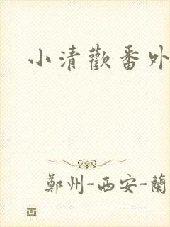 小清欢番外封面