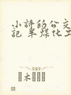 小诗的公交车日记 半煤化工