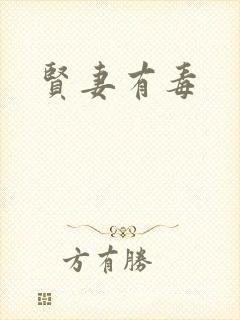 贤妻有毒