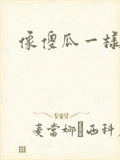 像傻瓜一样去爱