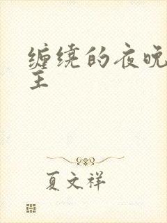 缠绕的夜晚双男主