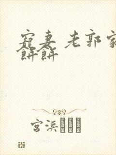 宠妻 老郭家的饼饼