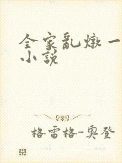 全家乱炖一锅烩小说