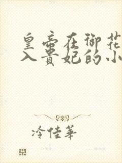 皇帝在御花园进入贵妃的小说