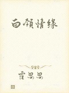 白领情缘