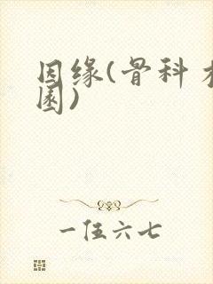 因缘(骨科 校园)