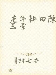 老牛耕田陈雪第三章