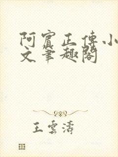 阿宾正传小说全文笔趣阁