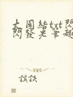 大团结txt闪闪发光笔趣阁