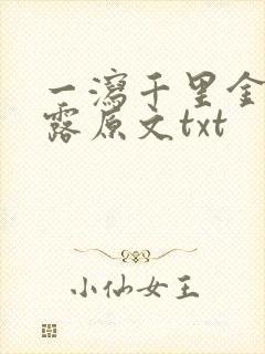 一泻千里金银花露原文txt