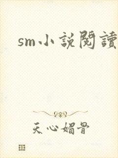 sm小说阅读
