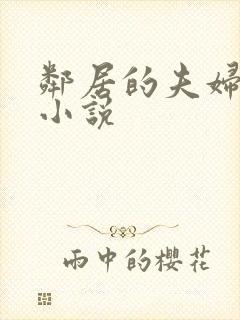 邻居的夫妇交换小说