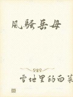 风骚岳母