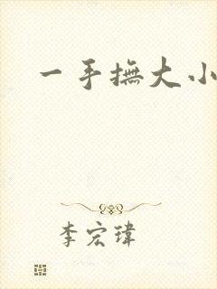 一手抚大小说