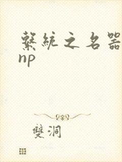 系统之名器攻略np