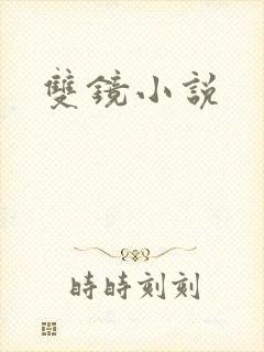 双镜小说封面