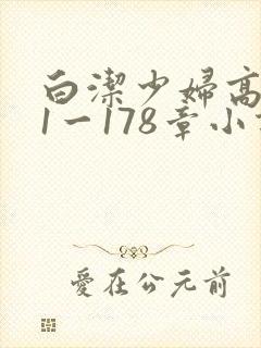 白洁少妇高义第1一178章小说
