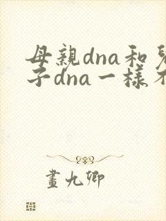 母亲dna和儿子dna一样不