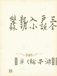 双龙入户三人行苏玥小说全文阅读