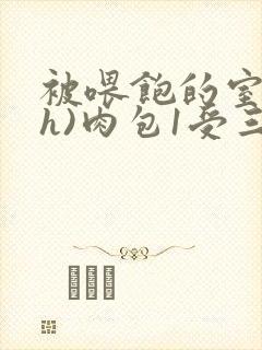 被喂饱的室友(h)肉包1受三攻