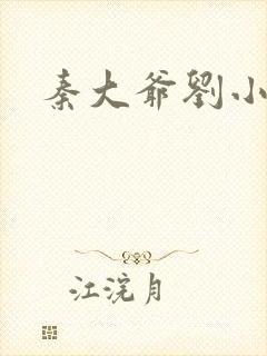 《秦大爷刘小静》小说封面