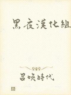 黑夜汉化组