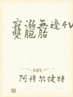 宠溺无边4V2双胞胎