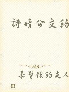 诗晴公交的小说