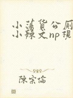 小荡货公厕h文小辣文np视频