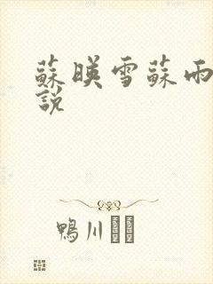 苏映雪苏雨柔小说