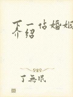 下一站婚姻剧情介绍