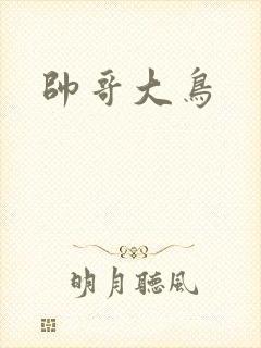 帅哥大鸟
