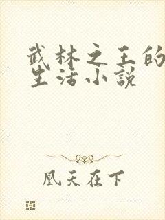 武林之王的退隐生活小说