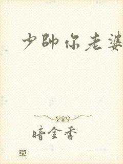少帅你老婆