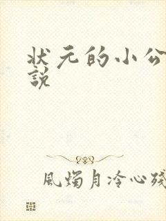 状元的小公主小说