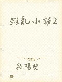 杂乱小说2