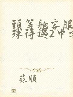 头等舱客服的特殊待遇2中字