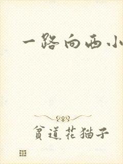 一路向西小说封面